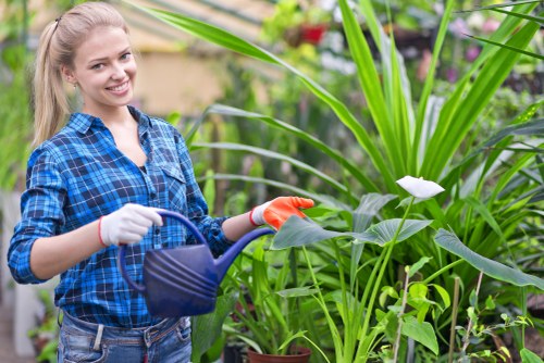 Site notes and schedule being recorded by a gardening professional