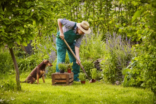 Gardener team inspecting a Southgate garden for an estimate