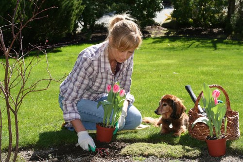 Professional gardeners finishing a landscaped garden in Southgate