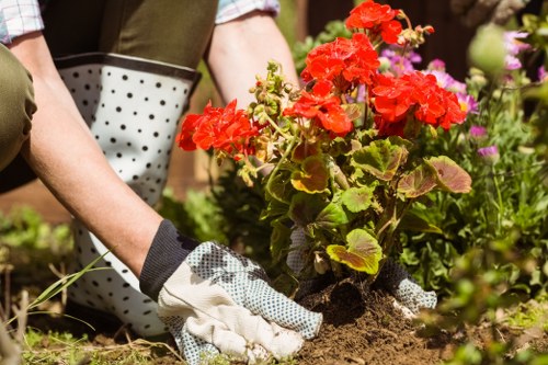 Inspector reviewing garden work during a complaint assessment