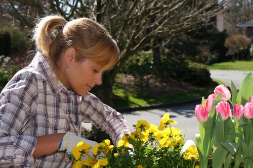Blooming flowers in a Southgate garden